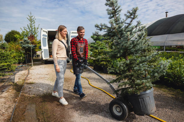 Best Stump Grinding Near Me  in Rockford, MI